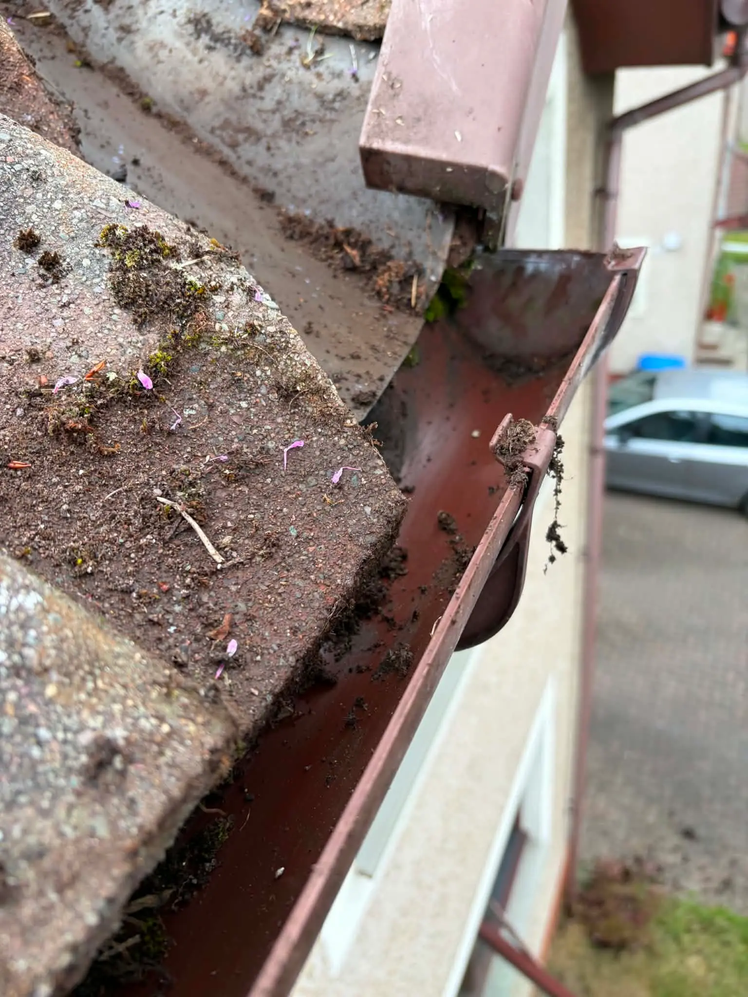 Clean and clear guttering on a Fife residential property after professional clearing