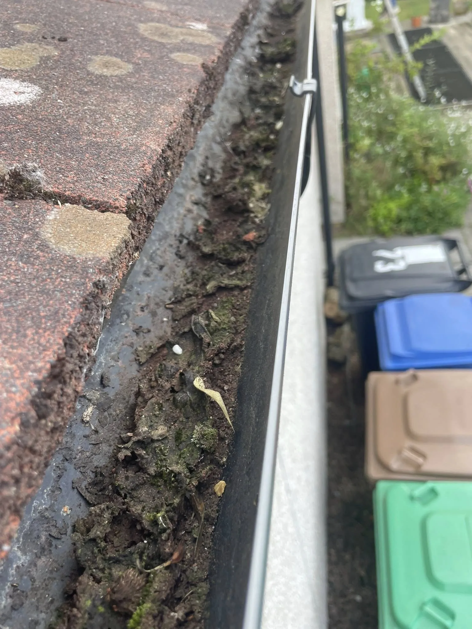 Residential gutters before cleaning — blocked with debris and leaves